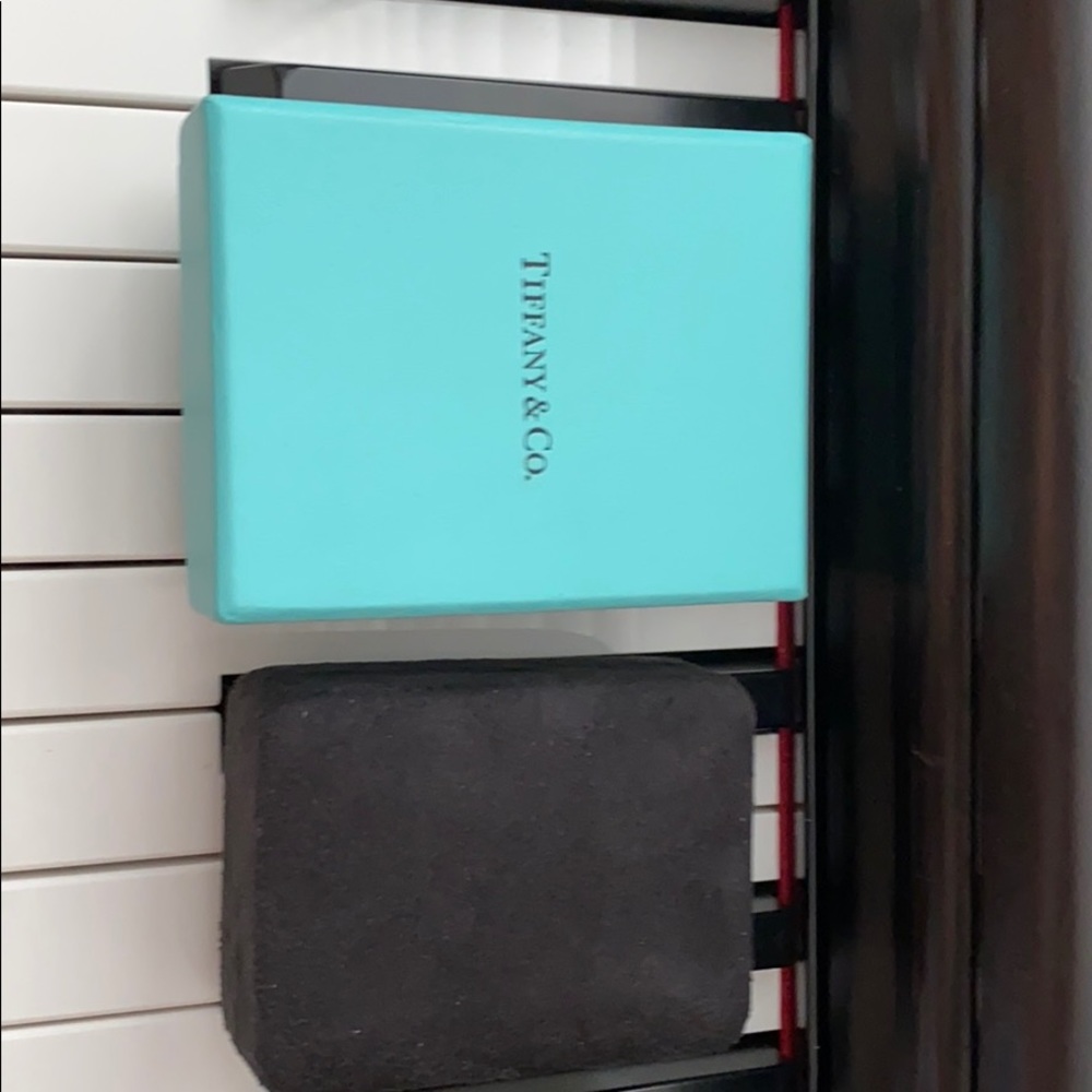 Tiffany&co jewelry case